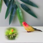 تصویری از پرندگان طرح لیلیان